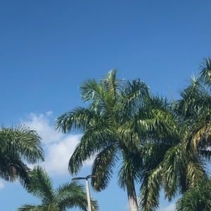 Meet your Posher, Anastasija